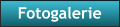 Fotogalerie